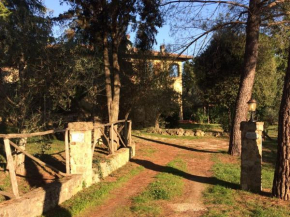 Case Vacanza Podere Risoino Poggibonsi